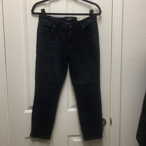 Ann Taylor Loft Jeans